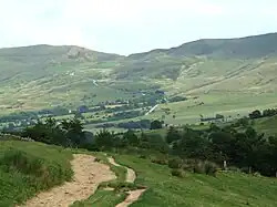 A photograph of moorland in summer; in the foreground is a dirt track on a small hill, in the mid-ground a small wood; in the background a treeless moorland skyline.