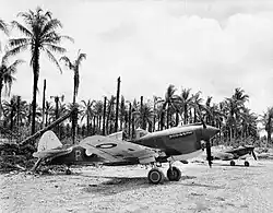 Two propeller aircraft parked on a crushed coral surface. In the background is a coconut plantation