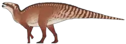 Kryptohadros kallaiae