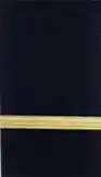 A gold bar on the shoulder of a blue dress coat.