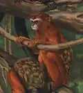 Drawing of brown monkeys