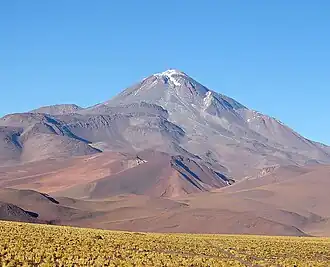 A brown mountain with a white summit rises above low yellow vegetation, in a cloudless sky