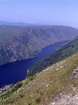 A view from high above a deep canyon with a narrow body of water at the bottom. The steep slope in the foreground is partly wooded, the slope on the far side is mostly cliffs and scree.