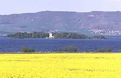 A field of yellow flowers in the foreground, with a dark blue lake beyond. A wooded island in the lake has a white structure of two storeys at centre and there are green and brown hills beyond. There is a small cluster of houses on the distant hill slope at right.