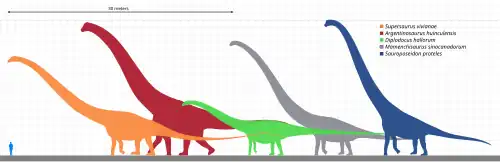 Size comparison of silhouettes of a human and six genera of giant sauropod dinosaurs, including Argentinosaurus