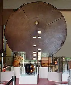 Slice of a giant Sequoia tree (Sequoiadendron giganteum) in the Gallery of Botany