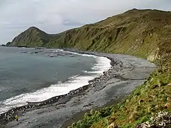 A Macquarie Island beach