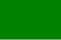 1812–1813 The flag of the Gutiérrez–Magee Expedition, sometimes called the "first Republic of Texas", which encompassed land from San Antonio to Nacogdoches and Goliad.[29]