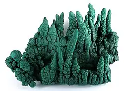 Malachite stalactites (to 9&nbsp;cm height), from Kasompi Mine, Katanga Province, Democratic Republic of the Congo, size: 21.6×16.0×11.9&nbsp;cm
