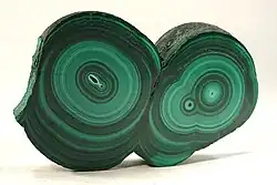 Slice through a double stalactite, from Kolwezi, Democratic Republic of the Congo. Size 5.9 × 3.9 × 0.7&nbsp;cm