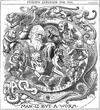 Darwin's figure is shown seated, dressed in a toga, in a circular frame labelled "TIME'S METER" around which a succession of figures spiral, starting with an earthworm emerging from the broken letters "CHAOS" then worms with head and limbs, followed by monkeys, apes, primitive men, a loin cloth clad hunter with a club, and a gentleman who tips his top hat to Darwin