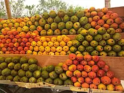 Many varieties from India