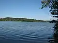 A blue lake with small waves, the distant shore is wooded and there is a tree at right