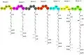 Modules 6–12