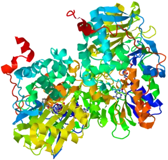 Ribbon diagram of human monoamine oxidase B