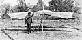 Montgomery's The Santa Clara glider 1905