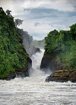 A large waterfall, with dense foliage on both sides.