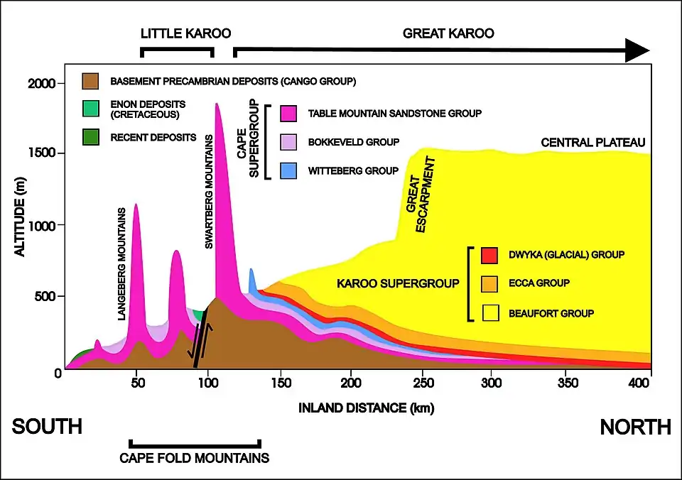 A diagrammatic 400&nbsp;km south–north crosssection through the Cape at approximately 21° 30' E (i.e. near Calitzdorp in the Little Karoo), showing the relationship between the Cape Fold Mountains (and their geological structure) and the geology of the Little and Great Karoo, as well as the position of the Great Escarpment. The colour code for the geological layers is the same as those used in the diagram above. The heavy black line flanked by opposing arrows is the fault that runs for nearly 300&nbsp;km along the southern edge of the Swartberg Mountains. The Swartberg Mountain range owes some of its great height to upliftment along this fault line. The subsurface structures are not to scale.