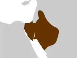 Pavarotti
