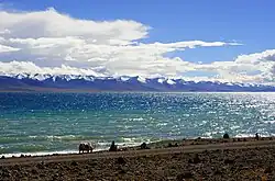 Nam Tso in Tibet, showing a rocky shore, deep blue lake water, and distant snow-capped mountains beneath a bright sky.