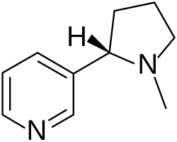 The alkaloid nicotine from tobacco binds directly to the body's Nicotinic acetylcholine receptors, accounting for its pharmacological effects.[64]