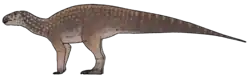 Obelignathus septimanicus