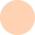 Delhi Sultanate