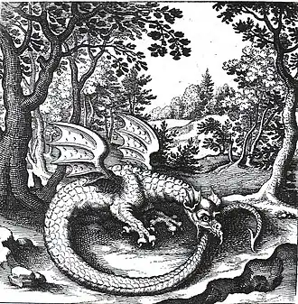 Engraving of a wyvern-type ouroboros by Lucas Jennis, in the 1625 alchemical tract De Lapide Philosophico. The figure serves as a symbol for mercury.[17]