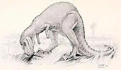Early life reconstruction by Joseph M. Gleeson, 1901