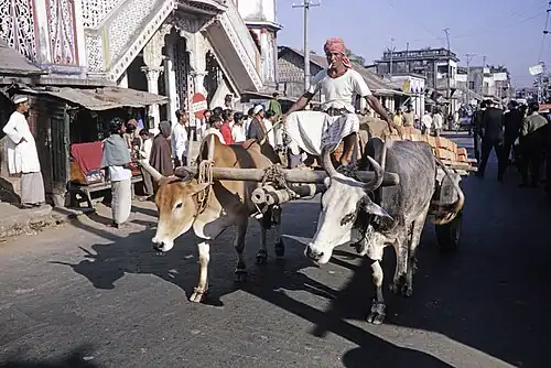 Oxen-drawn cart passing Chandanpura Mosque in Chittagong, Bangladesh