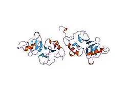 2bn2: CRYSTAL STRUCTURE OF BOVINE NEUROPHYSIN II COMPLEXED WITH THE VASOPRESSIN ANALOGUE PHE-TYR AMIDE