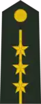 Captain