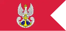 Navy flag