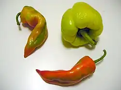 There are various peppers which are called paprika in Hungarian but aren't used for the spice production.