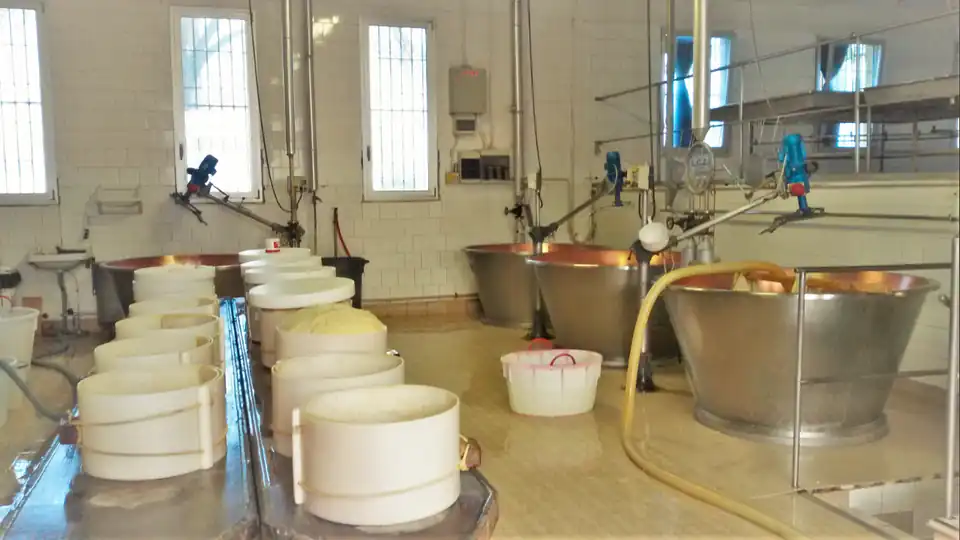 Copper-lined vats for the production of Parmigiano Reggiano