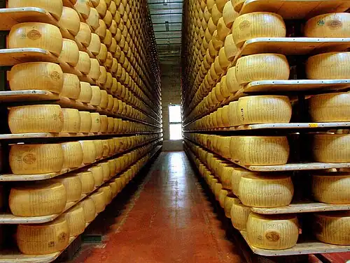 A Parmigiano Reggiano factory maturation room