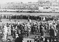 Crowd watches Phar Lap win the Melbourne Cup in Australia, 1930.