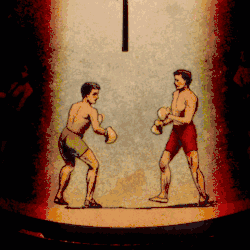 Mirrored animation detail