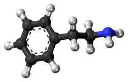 Ball-and-stick model of phenethylamine