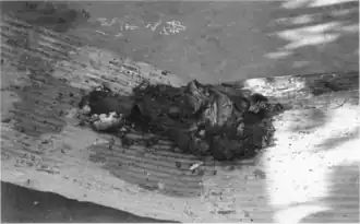 Remains of a 2-year-old child killed in the raid