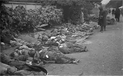 Black and white photograph of numerous bodies dressed in civilian clothing lying on a park