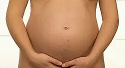 a pregnant belly