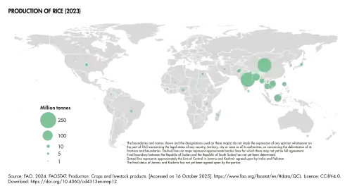 Production of rice[45]