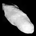 An irregularly shaped oblong body is fully illuminated. It is elongated in the direction from the top left to bottom left. Its surface is covered by craters.