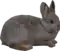 Brown rabbit