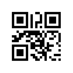 Version 1 (21×21). Content: "Ver1".
