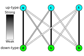 Three balls "u", "c", and "t" noted "up-type quarks" stand above three balls "d", "s", "b" noted "down-type quark". The "u", "c", and "t" balls are vertically aligned with the "d", "s", and b" balls, respectively. Colored lines connect the "up-type" and "down-type" quarks, with the darkness of the color indicating the strength of the weak interaction between the two; The lines "d" to "u", "c" to "s", and "t" to "b" are dark; The lines "c" to "d" and "s" to "u" are grayish; and the lines "b" to "u", "b" to "c", "t" to "d", and "t" to "s" are almost white.