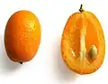 Kumquat fruit cross-section