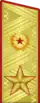 Shoulder strap of an Army General