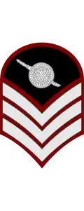 Police Sergeant